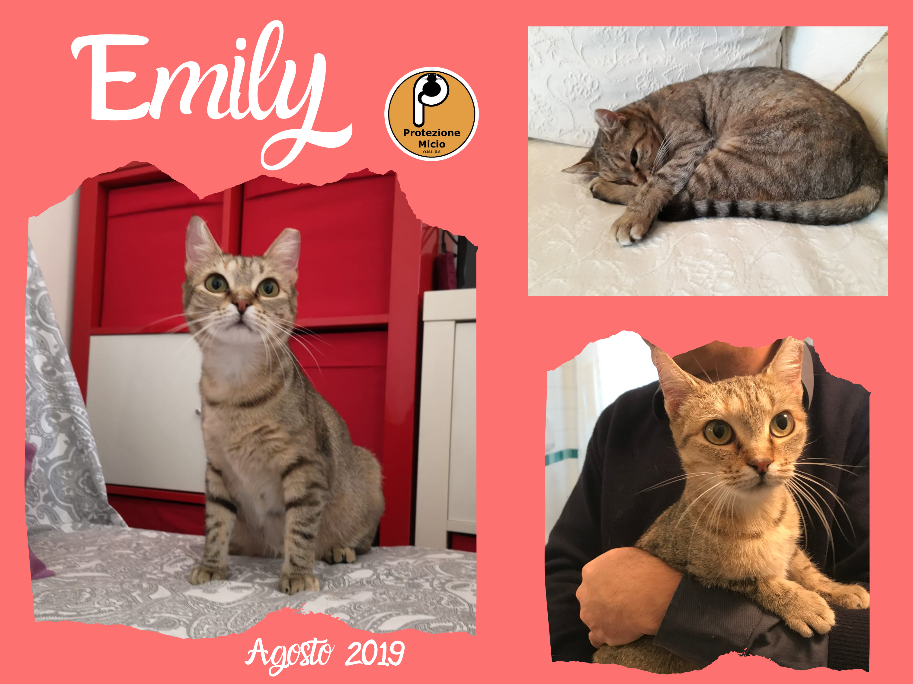 Emily – adottata!