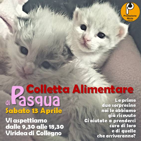 Colletta Alimentare 13 Aprile 2019
