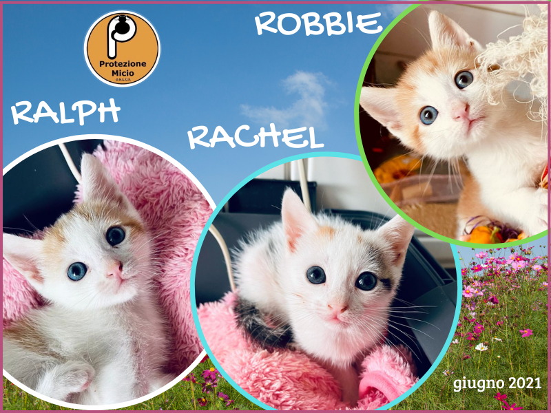 Asti: RALPH, ROBBIE E RACHEL, adottati!