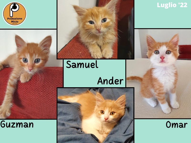 Samuel e fratelli: adottati!