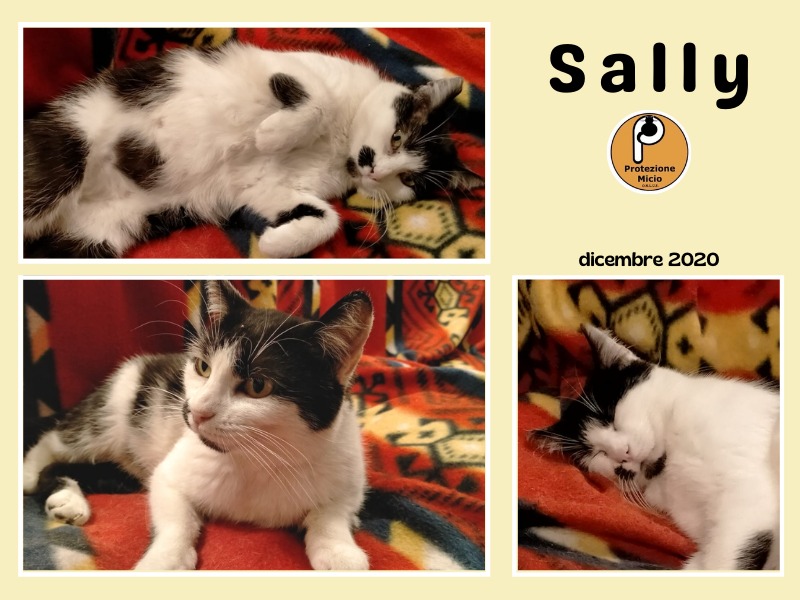 SALLY, adottata!