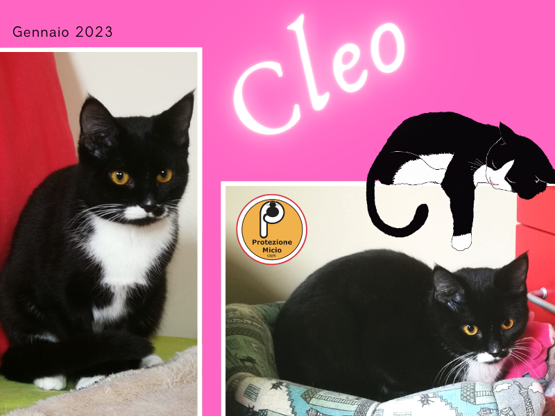 CLEO, adottata!