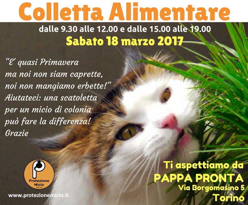 Colletta Alimentare 18 Marzo 2017