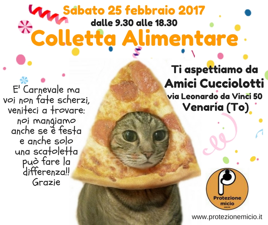 Colletta Alimentare 25 Febbraio 2017