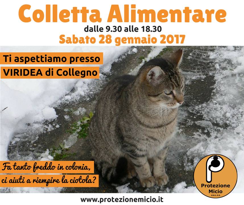 Colletta Alimentare 28 Gennaio 2017