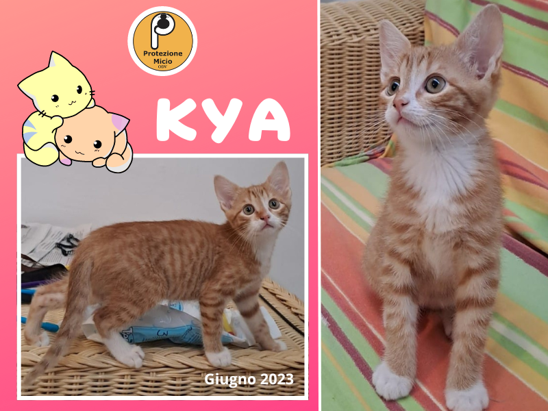 Kya, adottata!