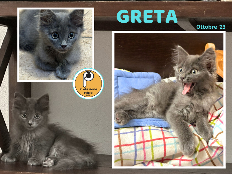 Greta, 2 mesi e mezzo, assolutamente fantastica!