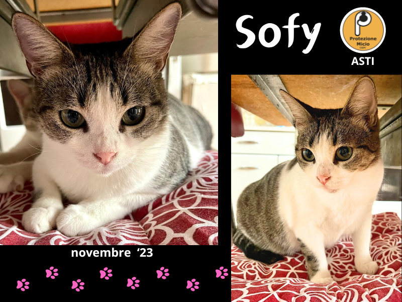 Asti: SOFY è giovane, dolcissima e buona come il pane!